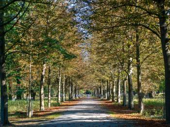 Tiergarten